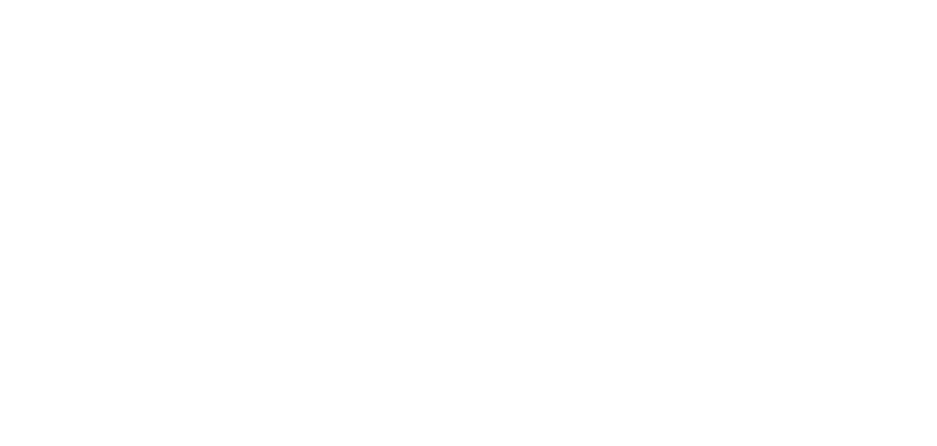 Stripe Sponsor Logo